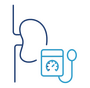 Stilisierte Grafik einer Niere neben einem Blutdruckmessgerät mit Manschette, Symbol für Blutdruckkontrolle bei Nierenerkrankung.